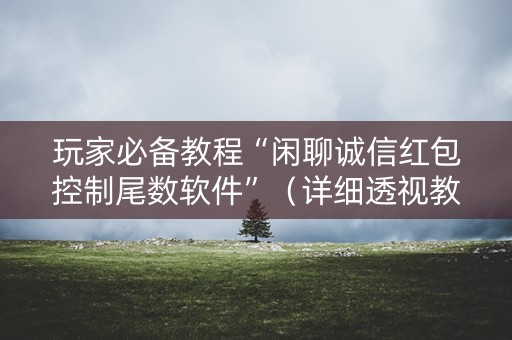 玩家必备教程“闲聊诚信红包控制尾数软件”（详细透视教程）-哔哩哔哩