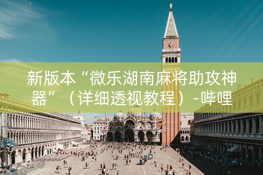 新版本“微乐湖南麻将助攻神器”（详细透视教程）-哔哩哔哩