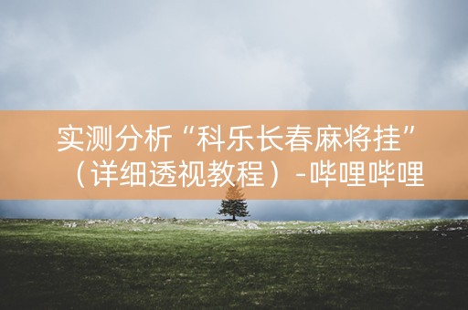 实测分析“科乐长春麻将挂”（详细透视教程）-哔哩哔哩