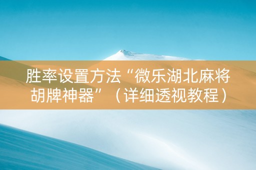 胜率设置方法“微乐湖北麻将胡牌神器”（详细透视教程）-哔哩哔哩