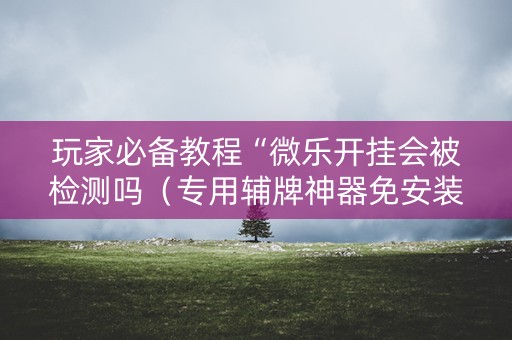 玩家必备教程“微乐开挂会被检测吗（专用辅牌神器免安装）