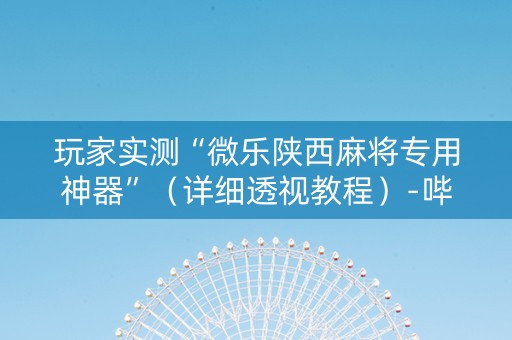 玩家实测“微乐陕西麻将专用神器”（详细透视教程）-哔哩哔哩