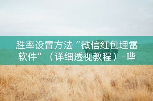 胜率设置方法“微信红包埋雷软件”（详细透视教程）-哔哩哔哩