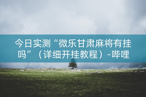 今日实测“微乐甘肃麻将有挂吗”（详细开挂教程）-哔哩哔哩