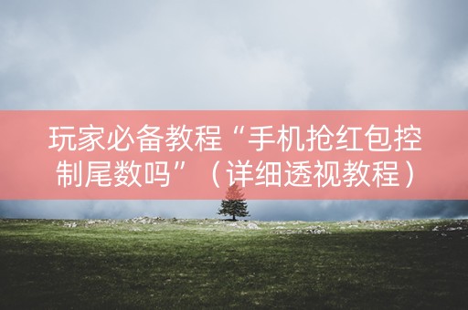 玩家必备教程“手机抢红包控制尾数吗”（详细透视教程）-哔哩哔哩