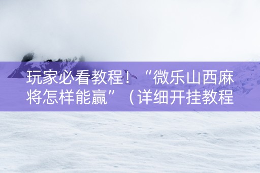玩家必看教程！“微乐山西麻将怎样能赢”（详细开挂教程）-哔哩哔哩