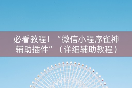 必看教程！“微信小程序雀神辅助插件”（详细辅助教程）-哔哩哔哩