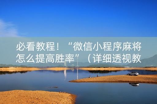 必看教程！“微信小程序麻将怎么提高胜率”（详细透视教程）-哔哩哔哩