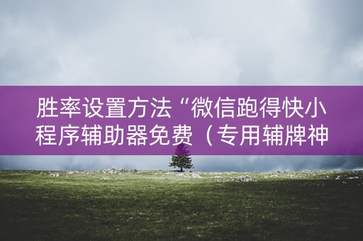 胜率设置方法“微信跑得快小程序辅助器免费（专用辅牌神器免安装）