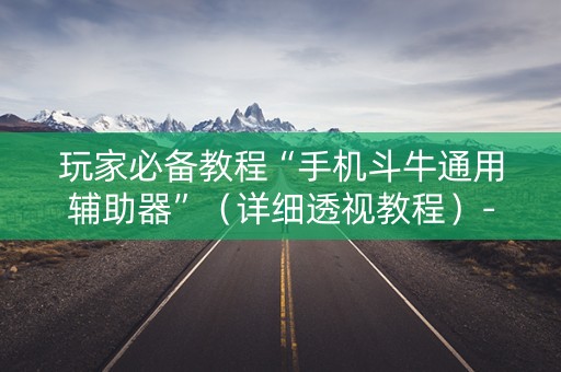 玩家必备教程“手机斗牛通用辅助器”（详细透视教程）-哔哩哔哩