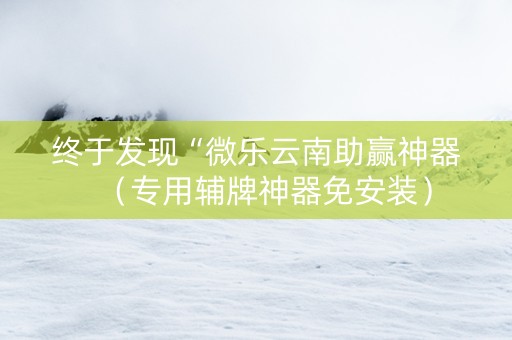 终于发现“微乐云南助赢神器（专用辅牌神器免安装）