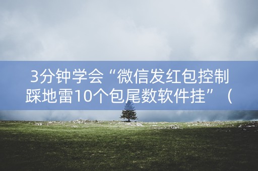 3分钟学会“微信发红包控制踩地雷10个包尾数软件挂”（详细透视教程）-哔哩哔哩