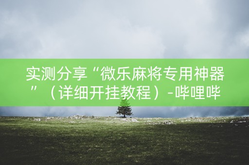 实测分享“微乐麻将专用神器”（详细开挂教程）-哔哩哔哩