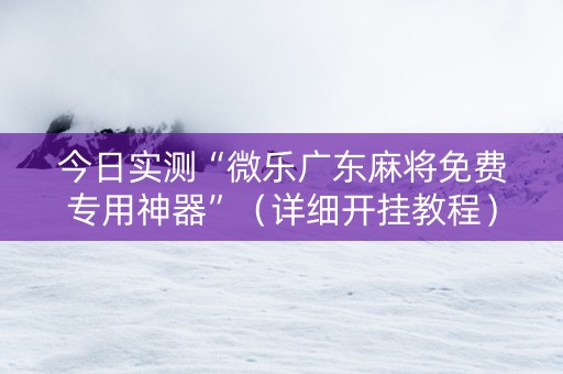 今日实测“微乐广东麻将免费专用神器”（详细开挂教程）-哔哩哔哩