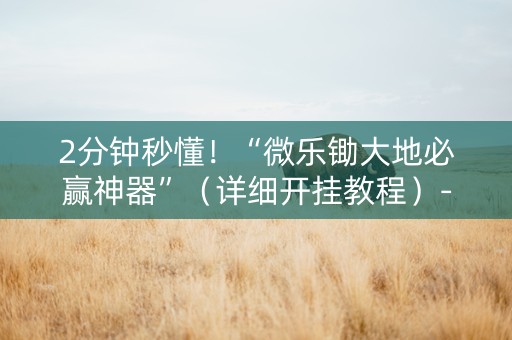 2分钟秒懂！“微乐锄大地必赢神器”（详细开挂教程）-哔哩哔哩