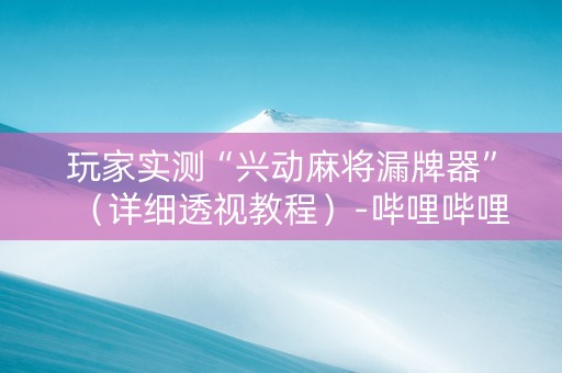 玩家实测“兴动麻将漏牌器”（详细透视教程）-哔哩哔哩