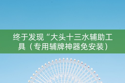 终于发现“大头十三水辅助工具（专用辅牌神器免安装）
