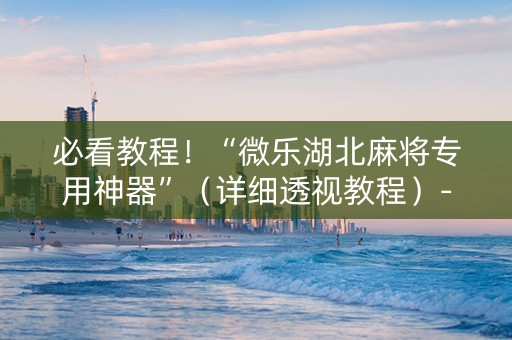 必看教程！“微乐湖北麻将专用神器”（详细透视教程）-哔哩哔哩
