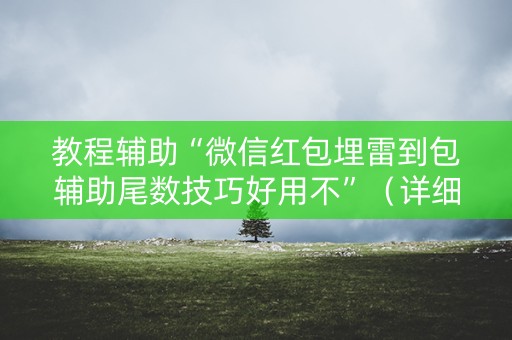 教程辅助“微信红包埋雷到包辅助尾数技巧好用不”（详细透视教程）-哔哩哔哩