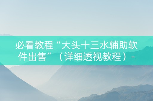 必看教程“大头十三水辅助软件出售”（详细透视教程）-哔哩哔哩