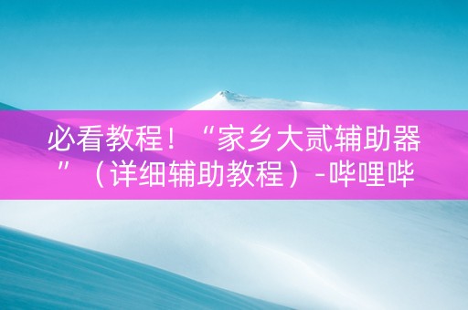必看教程！“家乡大贰辅助器”（详细辅助教程）-哔哩哔哩