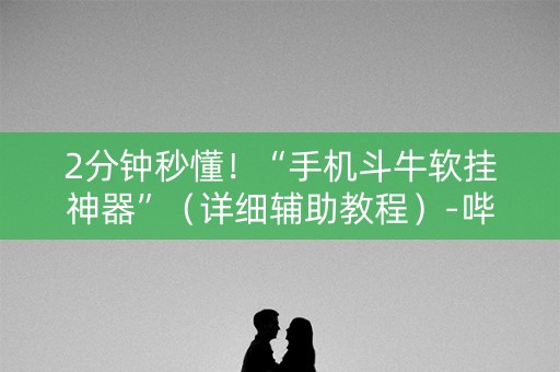 2分钟秒懂！“手机斗牛软挂神器”（详细辅助教程）-哔哩哔哩