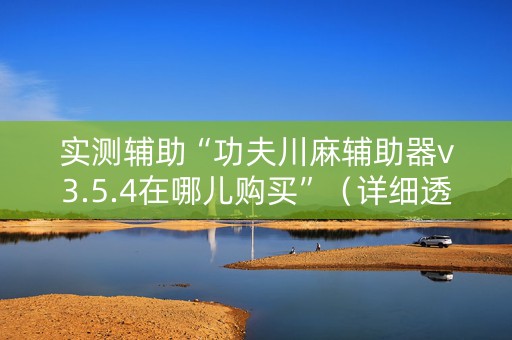 实测辅助“功夫川麻辅助器v3.5.4在哪儿购买”（详细透视教程）-哔哩哔哩