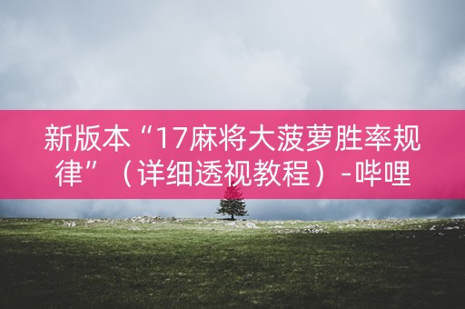 新版本“17麻将大菠萝胜率规律”（详细透视教程）-哔哩哔哩