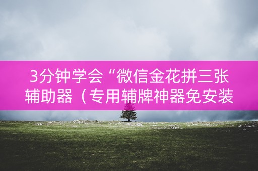 3分钟学会“微信金花拼三张辅助器（专用辅牌神器免安装）