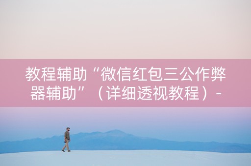 教程辅助“微信红包三公作弊器辅助”（详细透视教程）-哔哩哔哩