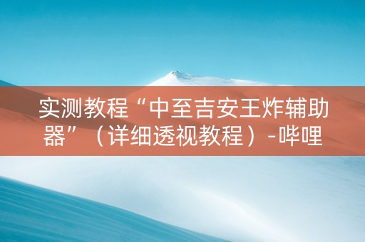 实测教程“中至吉安王炸辅助器”（详细透视教程）-哔哩哔哩