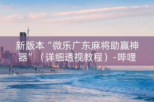 新版本“微乐广东麻将助赢神器”（详细透视教程）-哔哩哔哩