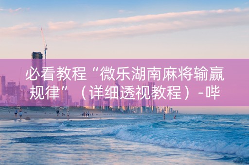 必看教程“微乐湖南麻将输赢规律”（详细透视教程）-哔哩哔哩