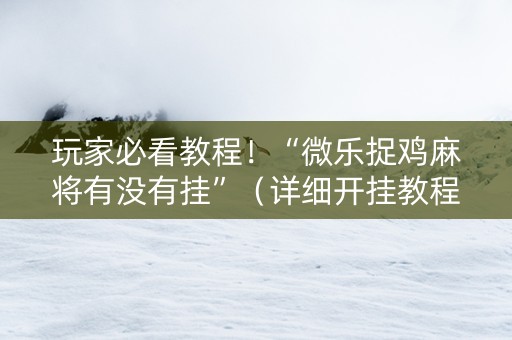 玩家必看教程！“微乐捉鸡麻将有没有挂”（详细开挂教程）-哔哩哔哩