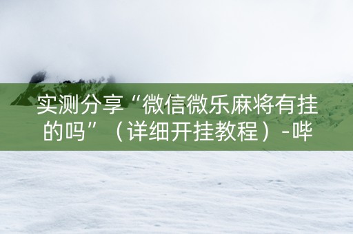 实测分享“微信微乐麻将有挂的吗”（详细开挂教程）-哔哩哔哩