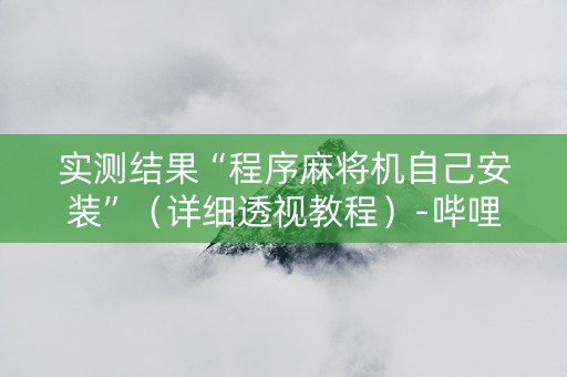 实测结果“程序麻将机自己安装”（详细透视教程）-哔哩哔哩
