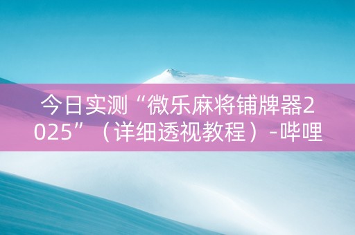 今日实测“微乐麻将铺牌器2025”（详细透视教程）-哔哩哔哩