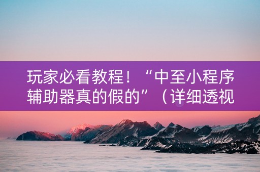 玩家必看教程！“中至小程序辅助器真的假的”（详细透视教程）-哔哩哔哩