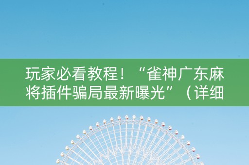玩家必看教程！“雀神广东麻将插件骗局最新曝光”（详细辅助教程）-哔哩哔哩