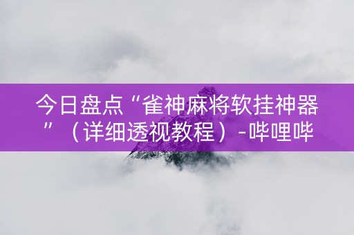 今日盘点“雀神麻将软挂神器”（详细透视教程）-哔哩哔哩