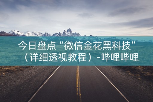 今日盘点“微信金花黑科技”（详细透视教程）-哔哩哔哩