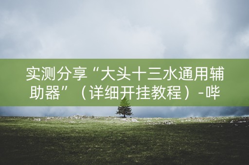 实测分享“大头十三水通用辅助器”（详细开挂教程）-哔哩哔哩