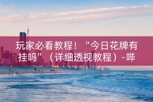 玩家必看教程！“今日花牌有挂吗”（详细透视教程）-哔哩哔哩