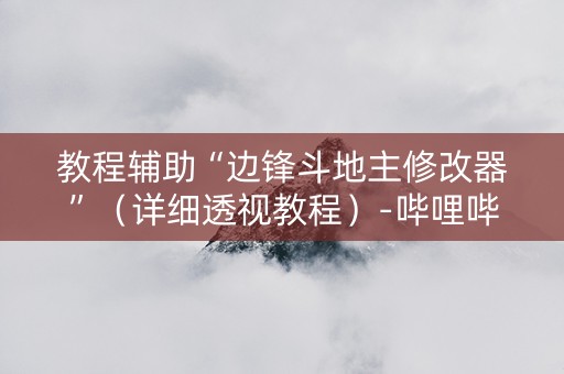 教程辅助“边锋斗地主修改器”（详细透视教程）-哔哩哔哩