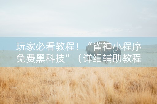 玩家必看教程！“雀神小程序免费黑科技”（详细辅助教程）-哔哩哔哩