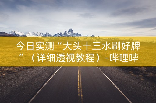今日实测“大头十三水刷好牌”（详细透视教程）-哔哩哔哩