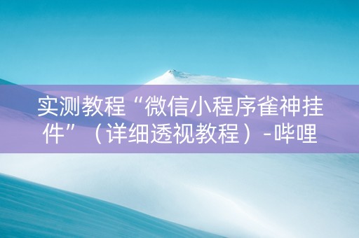 实测教程“微信小程序雀神挂件”（详细透视教程）-哔哩哔哩