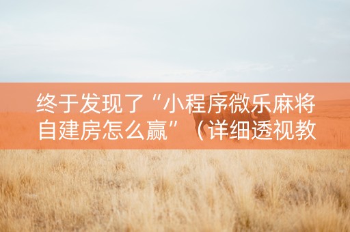终于发现了“小程序微乐麻将自建房怎么赢”（详细透视教程）-哔哩哔哩