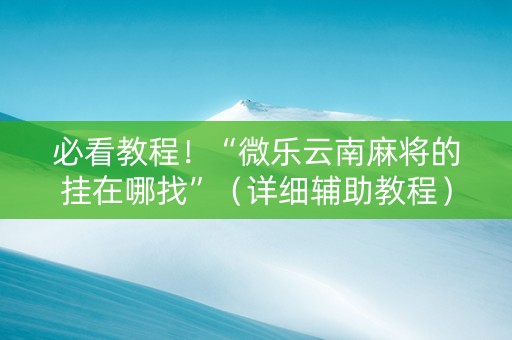 必看教程！“微乐云南麻将的挂在哪找”（详细辅助教程）-哔哩哔哩