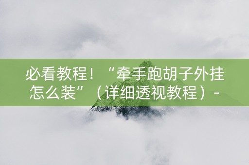 必看教程！“牵手跑胡子外挂怎么装”（详细透视教程）-哔哩哔哩